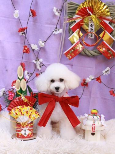 20230118ゆわちゃん